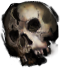 Skull(535).png