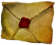 A Letter to J.(273).png