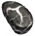 Trainer's stone(812).png