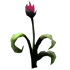 Flower(15).png