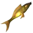 Fluorescent Fish(79).png