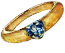 The Signet Ring of Zenevre Family(58).png