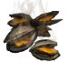 Roasted clams(645).png