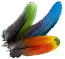 Macaw feathers(883).png