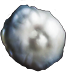 Dirty pearl(892).png