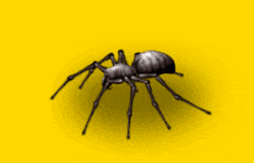 Gray Spider.gif