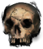 Skull(533).png