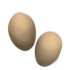 Two chicken eggs(418).png