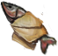 A fish wrapped in a letter(833).png