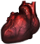 Heart of a champion(573).png