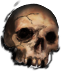Skull(534).png