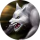 White Wolf.png