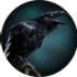 Raven1.png
