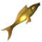 Fluorescent Fish.PNG