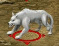 White Wolf.gif