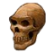 Rizurul's Skull.PNG