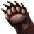Bear’s paw.png
