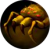 Cross Spider.png