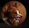 Dark Hound.jpg
