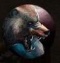 Grizzly Bear.jpg