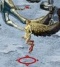 Mad Harpy.jpg