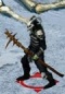 Winter Shaman.jpg
