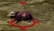 King Rat.jpg
